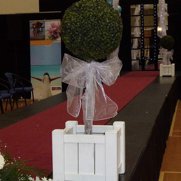 Topiary in planter